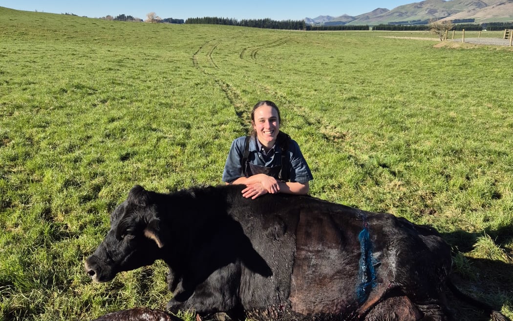 Holly Gardyne works for Northern Southland Vets in Riversdale.