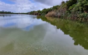 People have been told to avoid the water at Lake Ngangana.