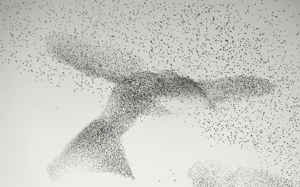 A starling murmuration swirls into the shape of a giant bird around the city and suburbs of Rome, Italy.