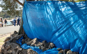 A tarpaulin erected to prevent media from filming proceedings on Te Tii Marae.