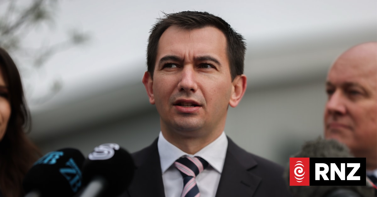 National's Simeon Brown discourages members from strategic v