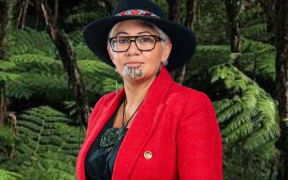 Te Pāti Māori MP Takutai Marsh Kemp.
