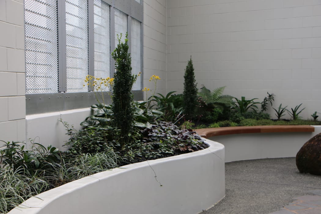 The sensory garden provided for inmates at Paremoremo Prison's new wing.