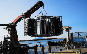 Shellfish tower deployment
