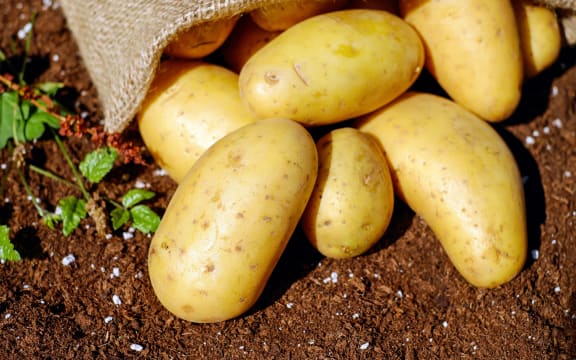 potatoes