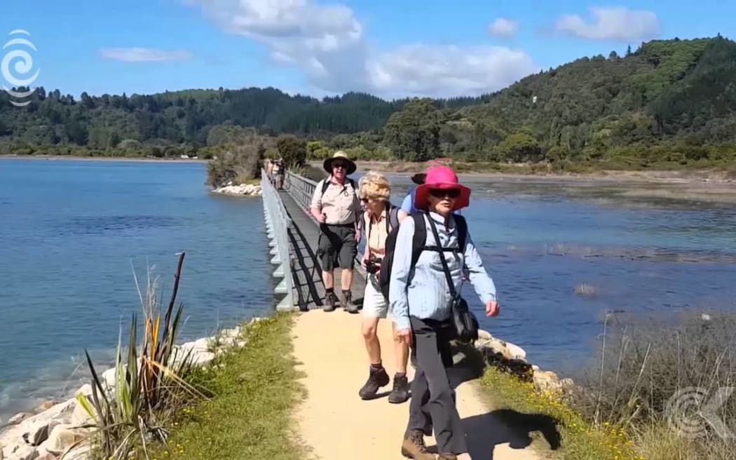 Wasp eradication programme trialled in Abel Tasman: RNZ Checkpoint