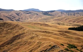 Looking back on the Wairarapa from Castle Point.