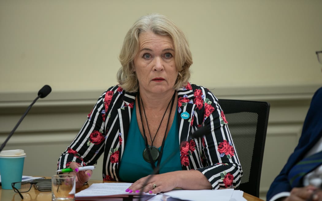 Ingrid Leary during the health select committee hearings on the Mental Health Bill