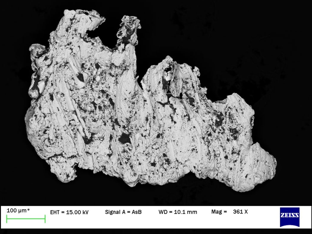 Scanning electron microscope image of gold