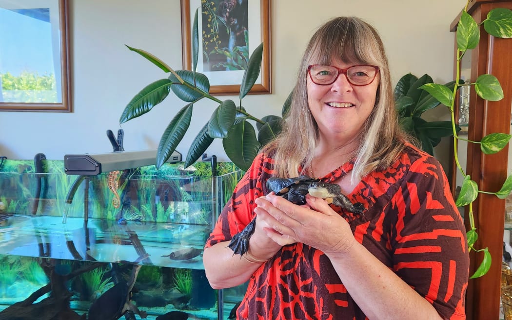 Donna Moot is a turtle rescuer. Here she is seen holding one of her long-necked turtles called Valetta, who is about 17-years-old.