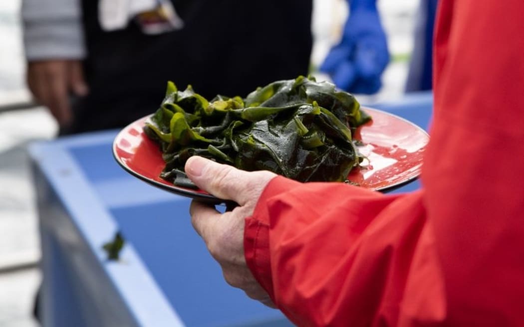 Wakame, or Undaria seaweed.