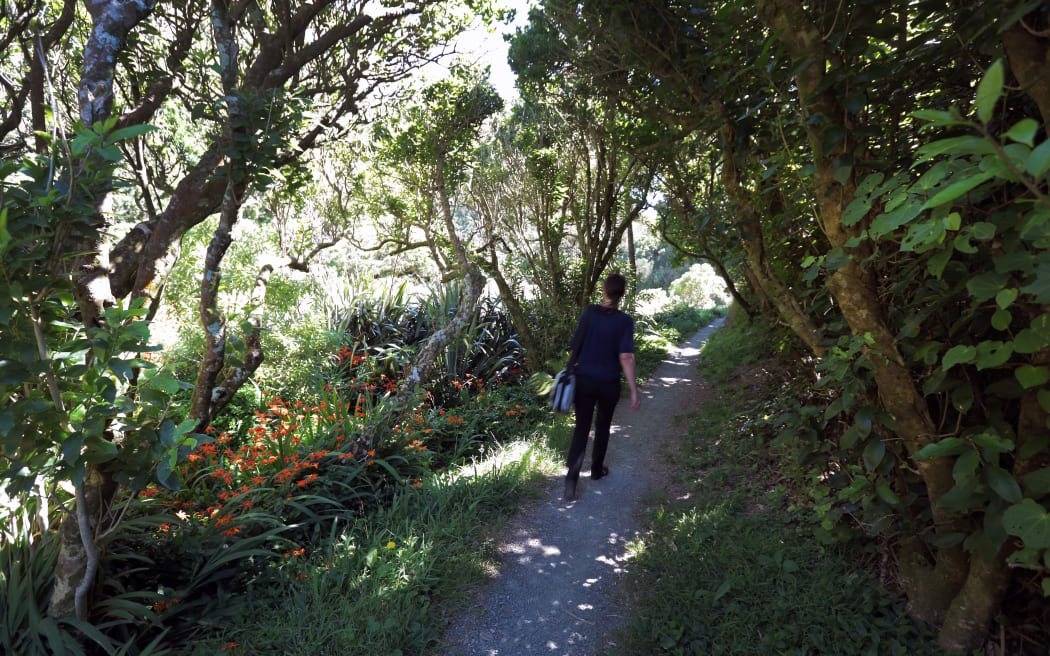 030214. Photo Diego Opatowski / RNZ. Belmont Regional Park walking tracks
