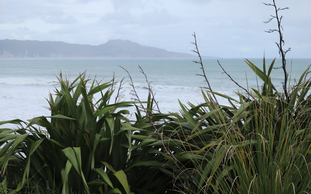 Māhia Peninsula is in the northern part of Hawke's Bay and home to Rocket Lab's launch site