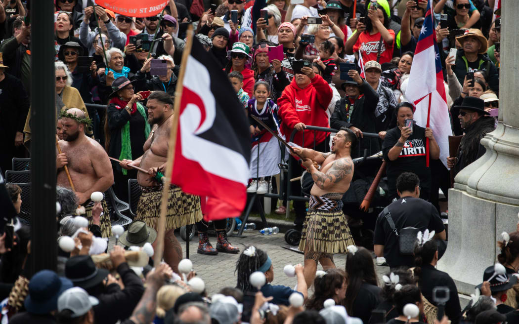 The Hīkoi mō te Tiriti arrives in Parliament grounds on 19 November 2024.