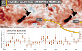 November marine heatwave