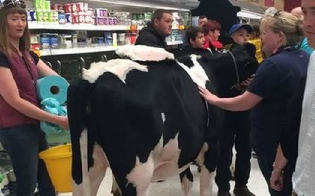 Farming unions from across the UK have developed an action plan following an "urgent summit" to discuss milk prices.