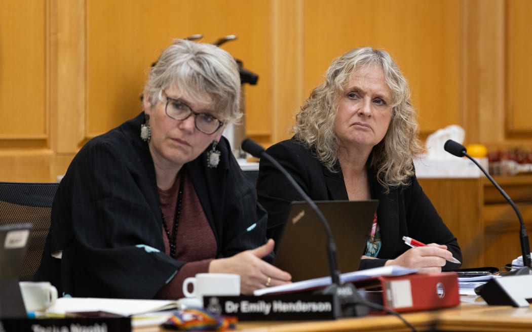 Labour MPs, Dr Emily Henderson and Dr Liz Craig in Select Committees during the 2032 Estimates Hearings.