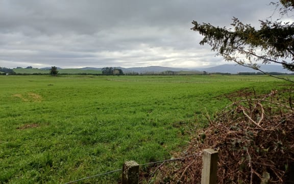 Central North Island farmland