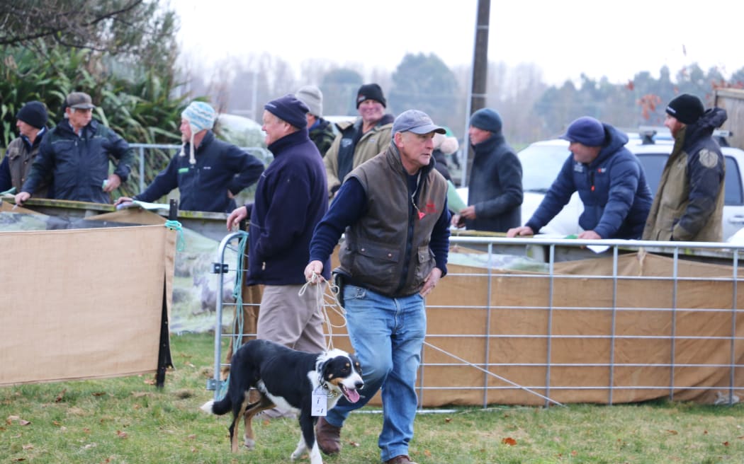 Working dog sale