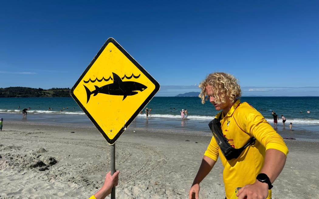 Shark attacks rare in NZ, but swimmers should be wary, scientist says