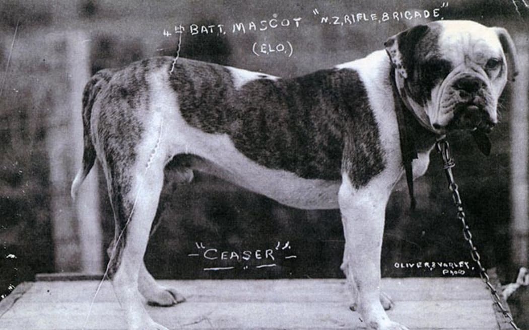 Ceaser.