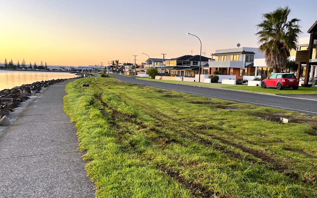 Damage from vehicles to the berm on Harbour Drive in Ōtūmoetai. Photo / Supplied