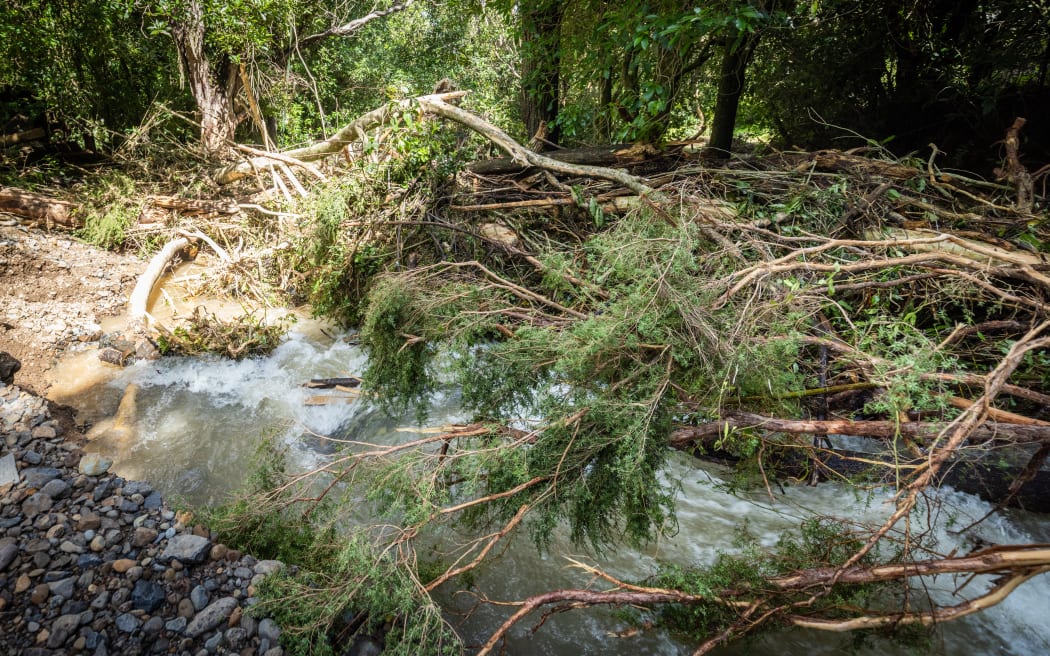 Little River Campground