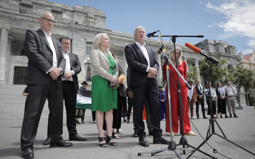 Protesters gathered at Parliament on 12 December to call for an immediate and permanent ceasefire in Gaza.