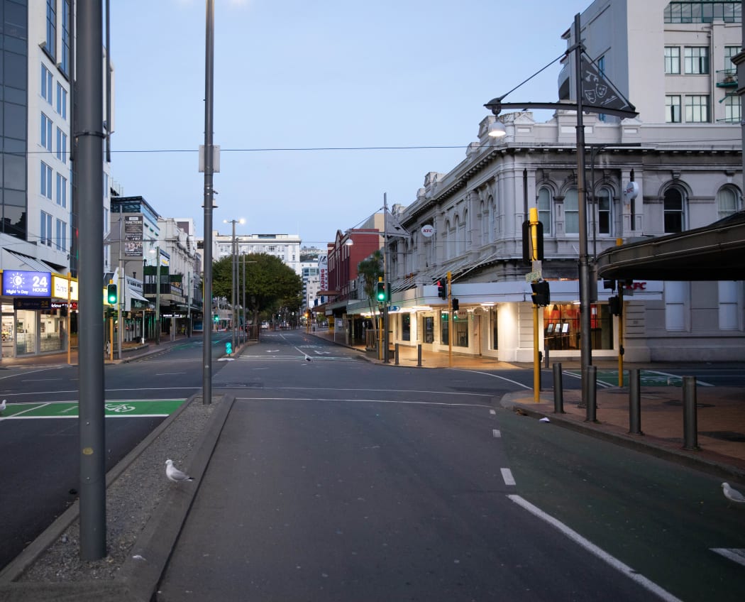 Wellington on 26 March, the first day of the Covid-19 lockdown.