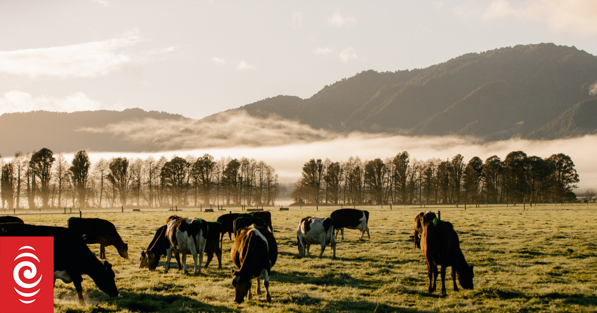 Bacterial contamination behind bad faulty sire semen - Livestock Improvement - Vimarsana News