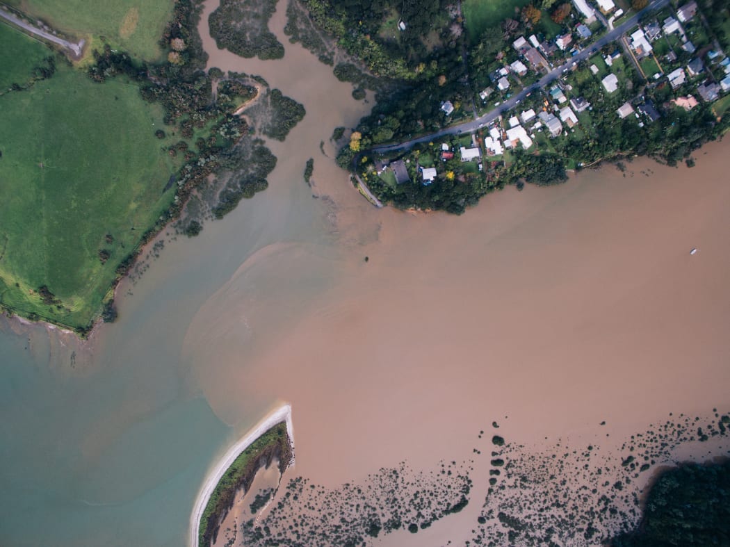 The Long Bay Okura Marine reserve is faced with pollution from nearby developments, according to groups lobbying for their shut down.