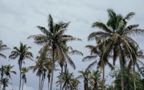 Afu said his organisation is focusing its efforts on coastal communities.