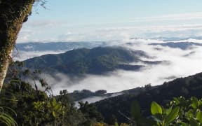 The Whakanui Track is marked as an advanced track on DOC's website and leads from the Lower Hutt suburb of Wainuiomata to the Ōrongorongo River Valley.