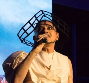 Mika performing at NZFW