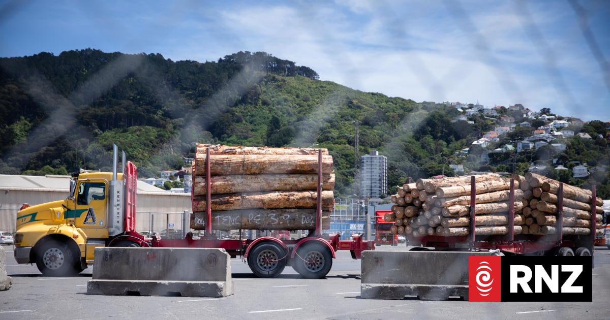 Coroner calls for tougher safety standards after forestry worker crushed under falling tree