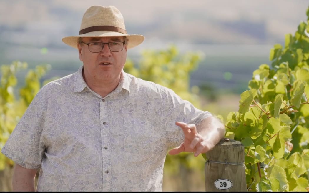 Chris Winefield is stood nexgt to a row of grape vines. He is wearing a white shirt and a hat with a brim.