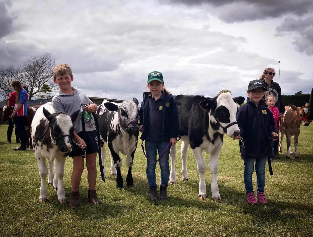 Championship Day in Manawatu.