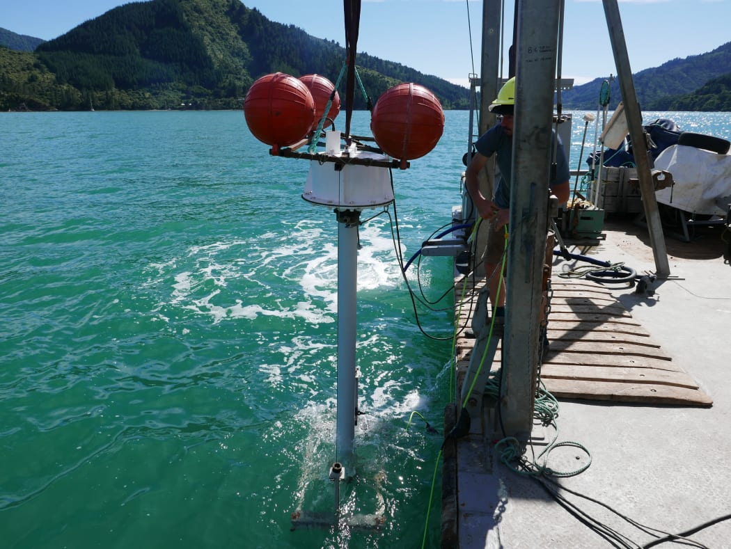 The vibra-corer is retrieved from Mahau Sound with a sediment sample.