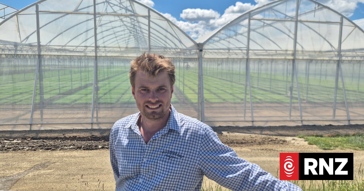Country Life: Leaderbrand's new greenhouse | RNZ