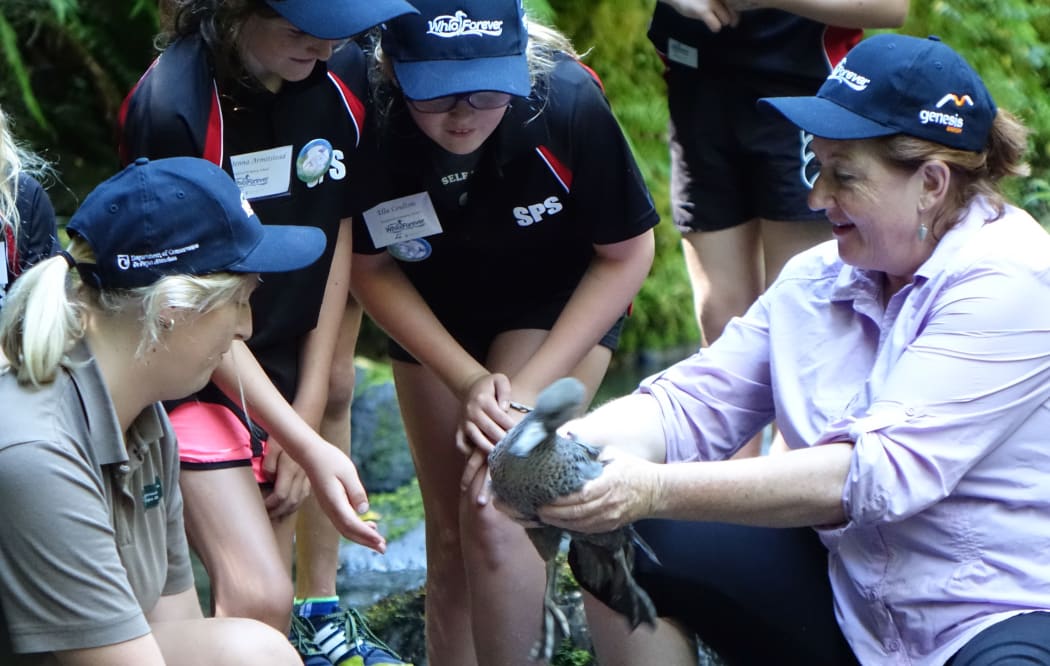 Conservation Minister Maggie Barry, a DoC staff member and pupils from Stratford Primary prepare to release a whio into the Waiongana River.