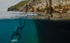 Sea Trekking