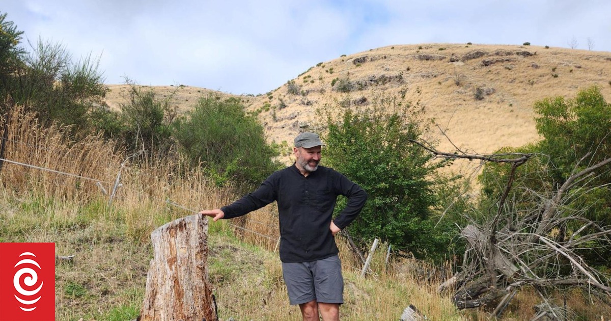 Forestry needs rethink, residents say after Port Hills fire - Vimarsana News