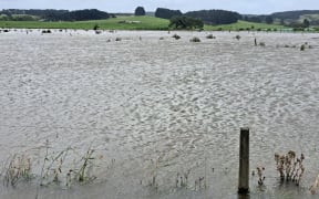 Flooded land  Twin Coastal Highway between Wharepapa and Helensville close to Ohirangi