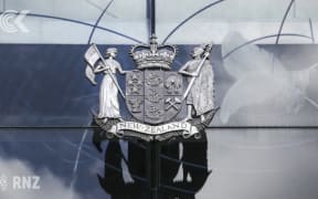 NZALS took court action against HDC, amputee over report