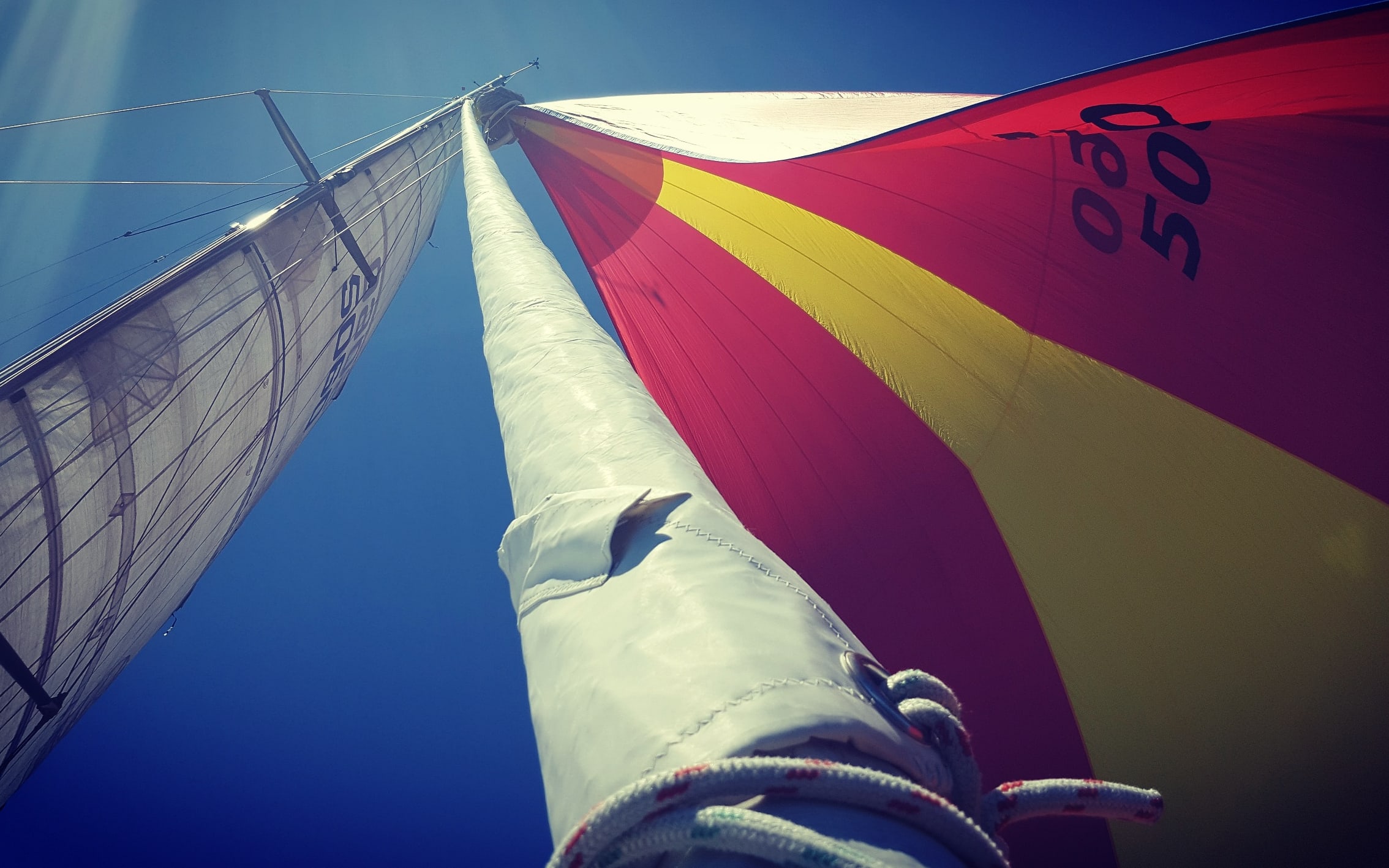 Scoundrel under gennaker.