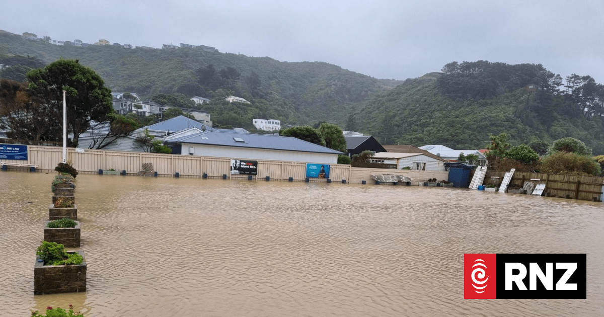 Wellington residents in flood-prone areas told to evacuate as downpours continue