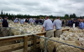 Coalgate saleyards