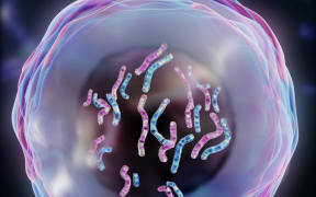 Genome slide