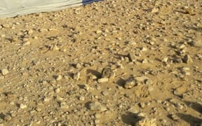 The remains of a hot air balloon is seen on the ground near the ancient city of Luxor after a fatal crash.