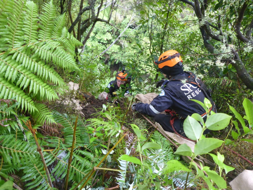 SPCA rescuers save dogs stranded in a remote part of the Hawke's Bay.